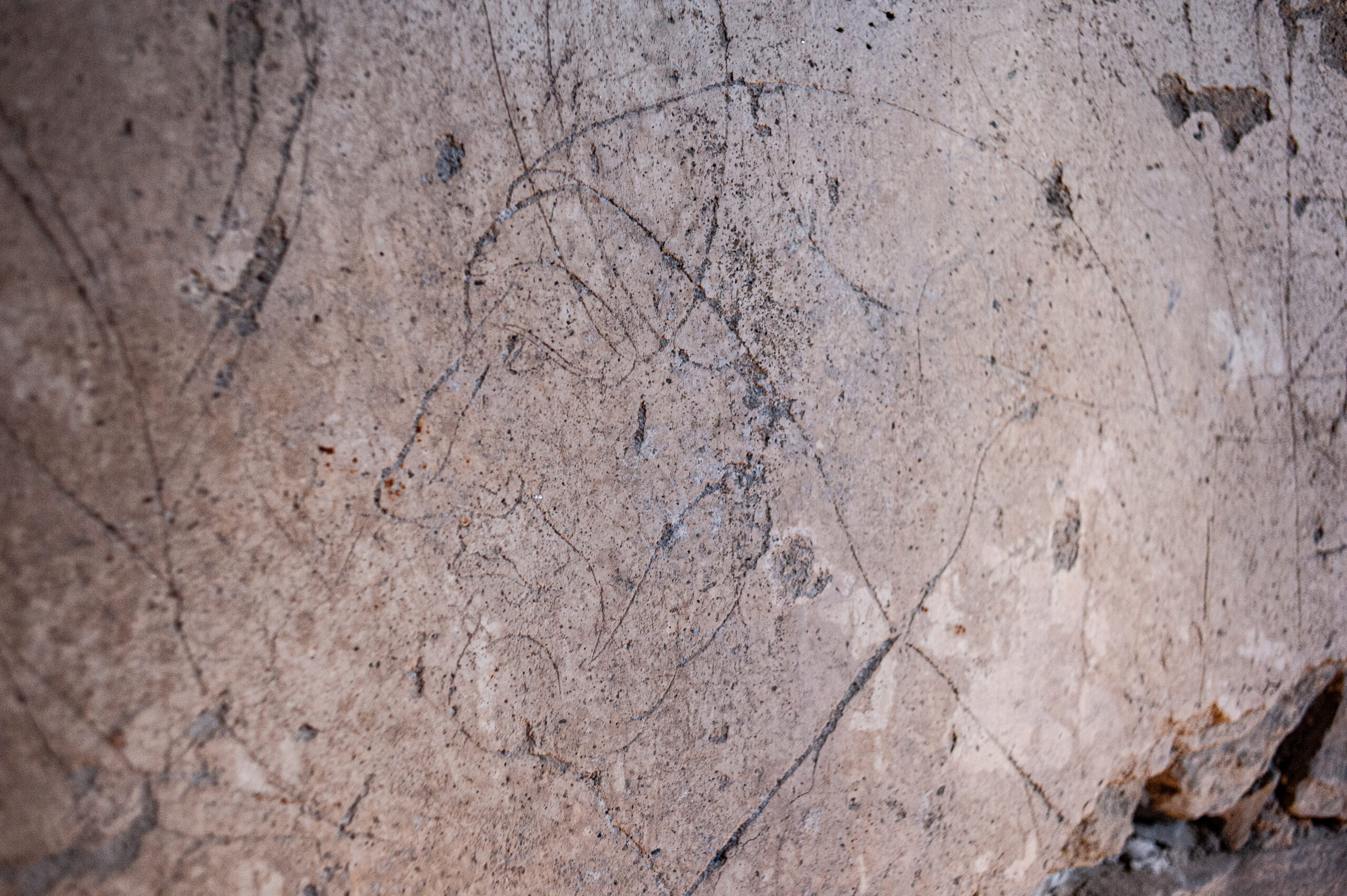 Visite insolite : « Face au mur, découverte des graffitis du château »